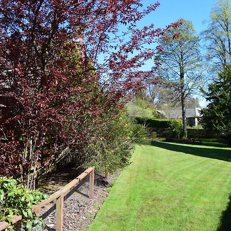 Auburn Cottage Arbroath Exterior foto